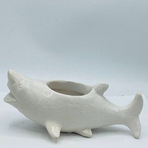Rocket Farms Succulent Shark Planter